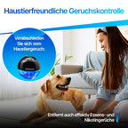 Airfresher mit Ionisator – Raumluftreiniger & Duftschale mit LED