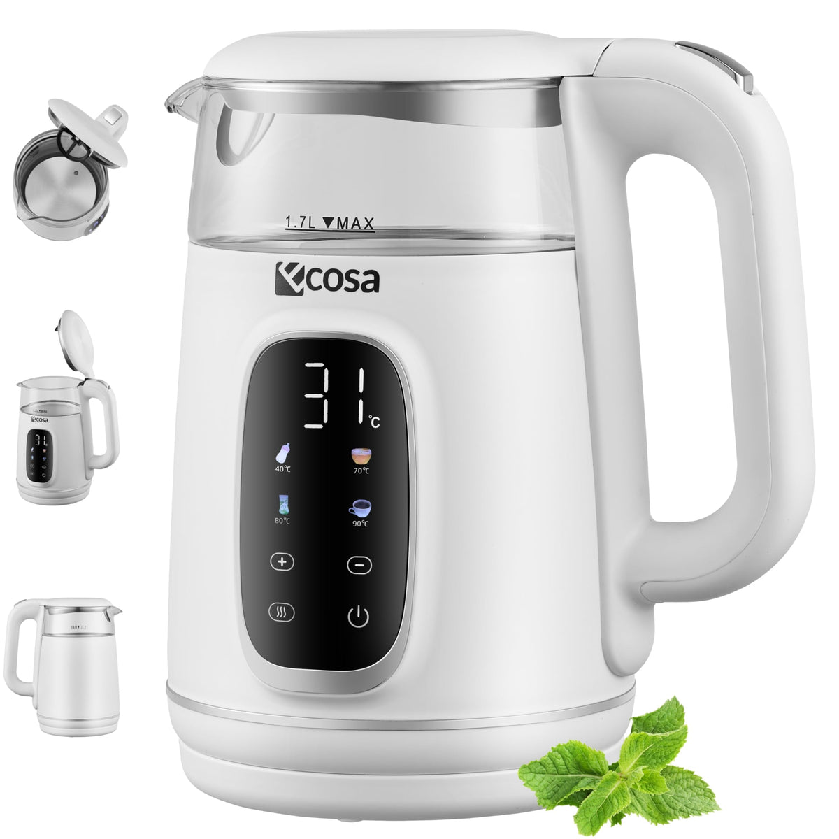 Glas-Wasserkocher mit Temperatureinstellung 40–100 °C – 1,7 L, LED