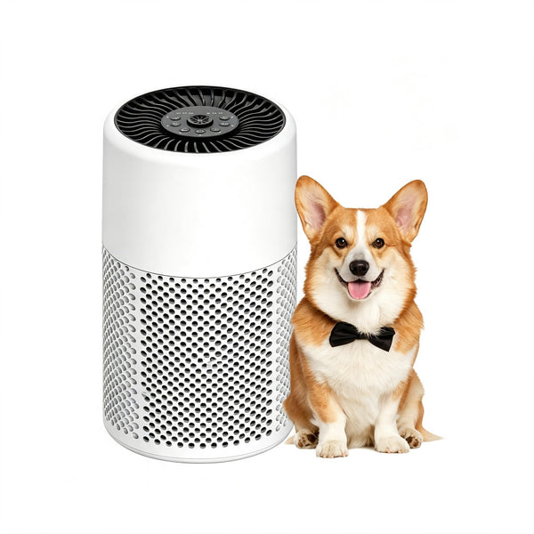Luftreiniger mit HEPA-Filter & Aroma-Funktion – 24 dB Schlafmodus