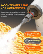 Hand-Dampfreiniger 1050 W mit 500 ml Tank – 16-teiliges Zubehör