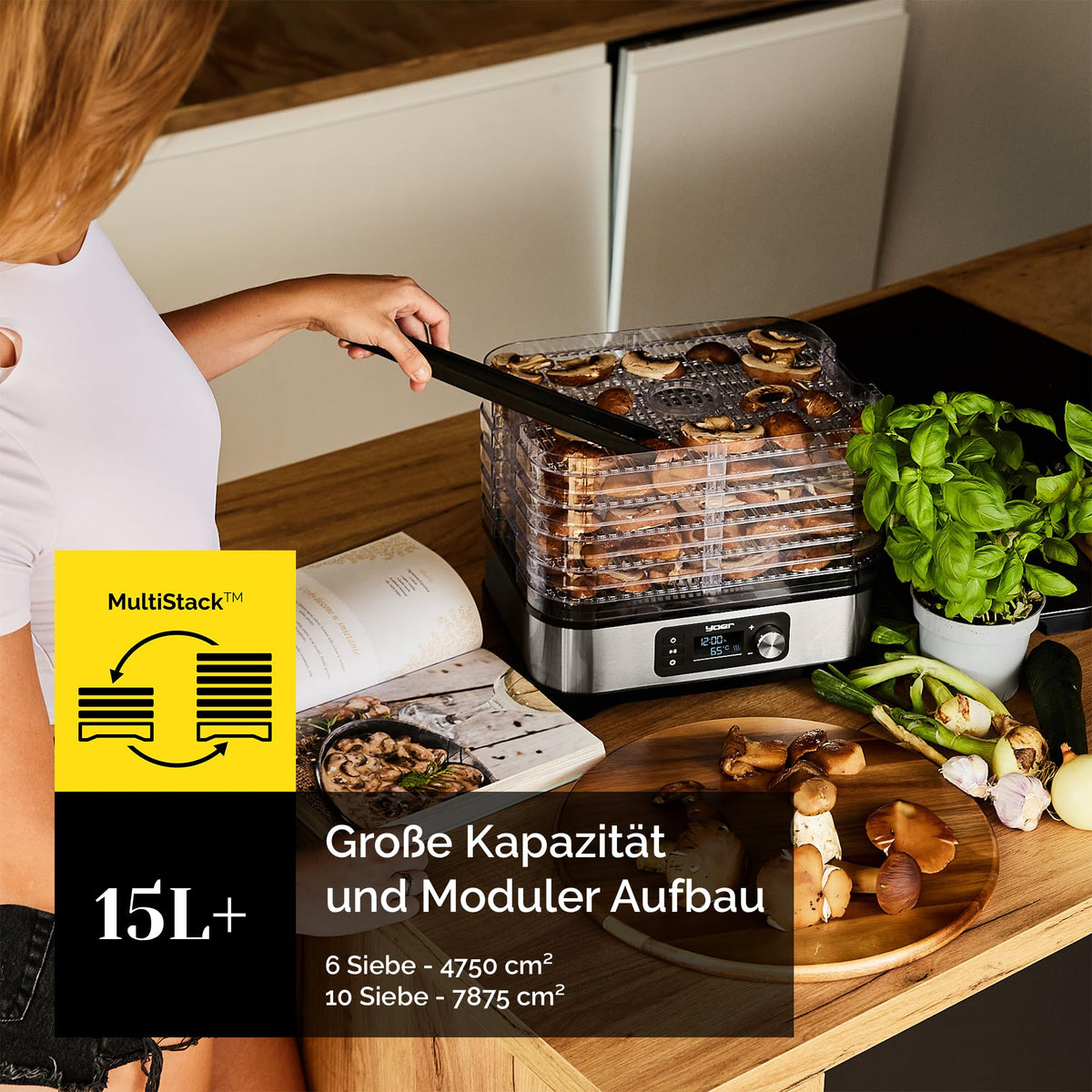 Dörrautomat aus Edelstahl – 6 Etagen, 450 W, Timer